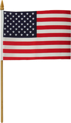 HARDDRIVE REPLACEMENT FLAG 4X6 NO MOUNT PART# 77-016