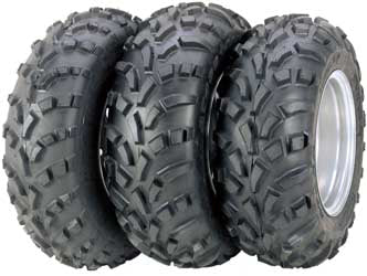 ITP 1988-1993 Trail Boss 250 2x4 AT 489 M/S 22X11-10 REAR 5893V0 Polaris