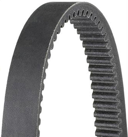 DAYCO HP2035 HP DRIVE BELT