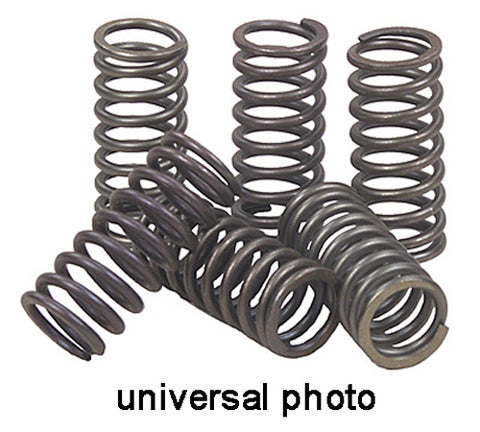 EBC USE CSK3 CKS62 CLUTCH SPRING KIT